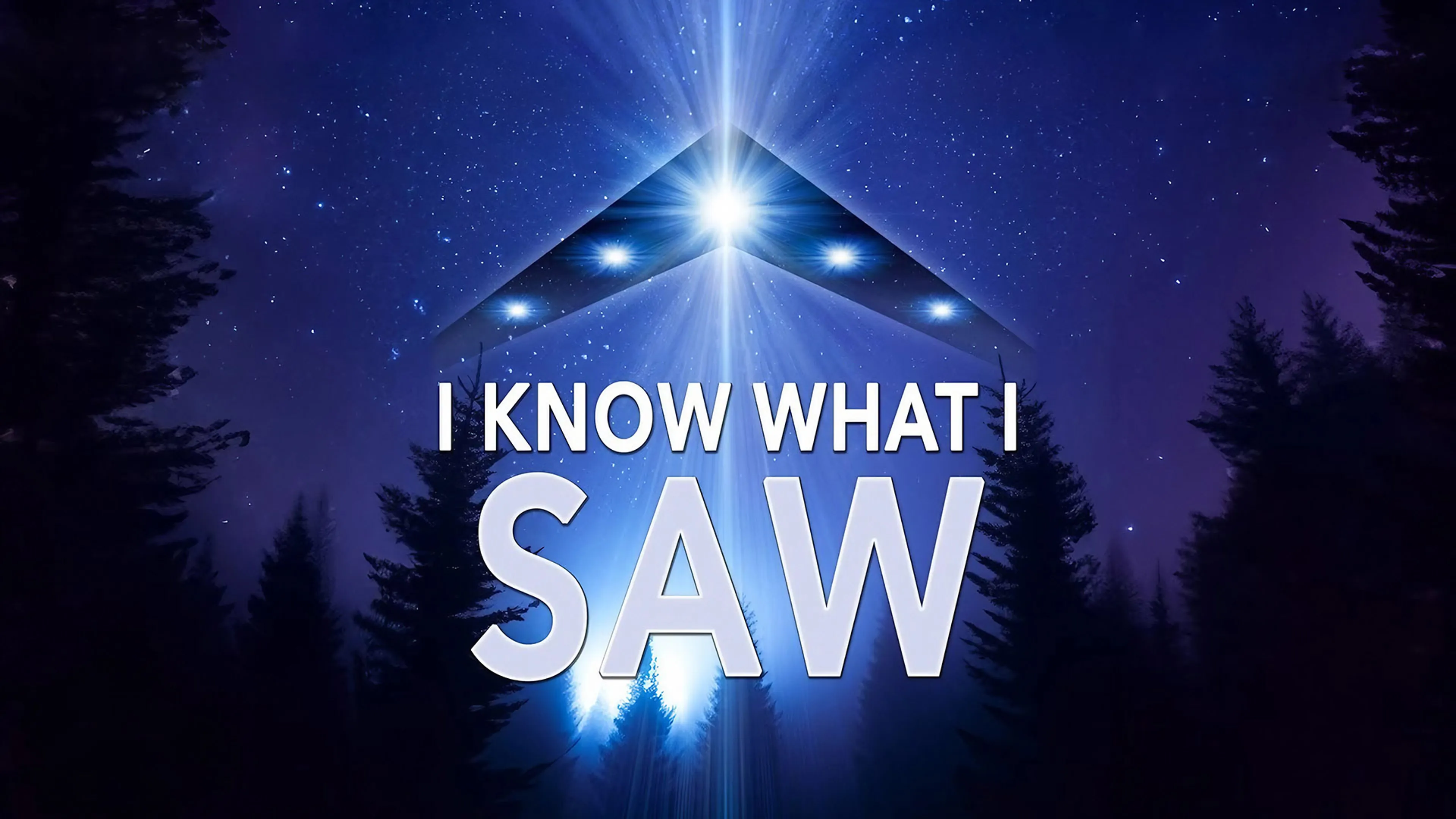 I Know What I Saw poster